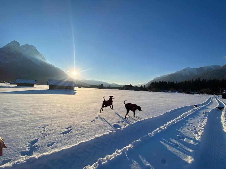 Zentral, Ruhig & Stilvoll Mit Bergpanorama+ Garten Garmisch-Partenkirchen Exterior foto